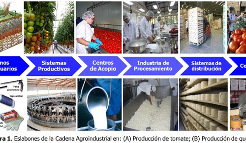 Ayudas en transformación y desarrollo de los productos agrícolas