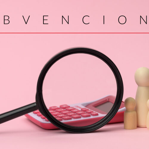 Subvenciones a las corporaciones locales por la contratación de determinados trabajadores para la ejecución de proyectos de interés general y social y de garantía de rentas.