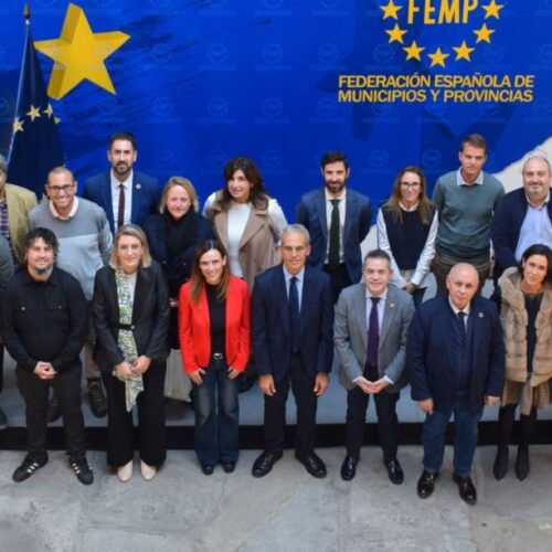 Proyectos de innovación FEMP.