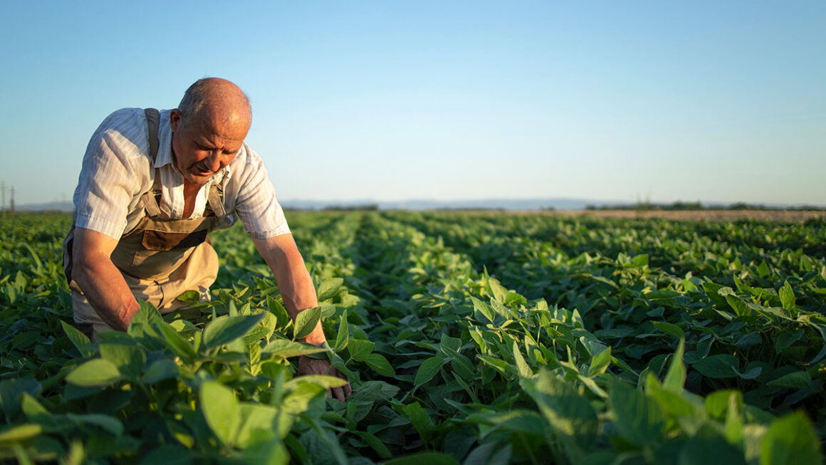Subvenciones urgentes de apoyo al sector agrario por causa de la sequía.