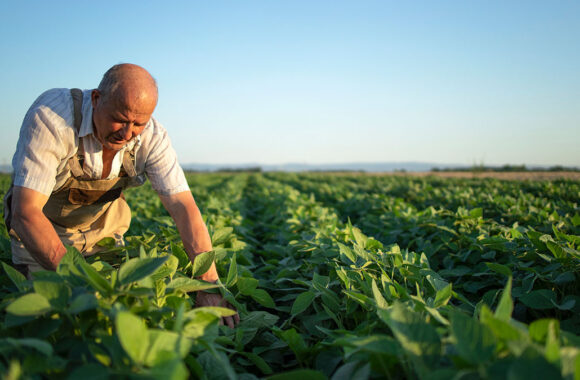 Subvenciones urgentes de apoyo al sector agrario por causa de la sequía.